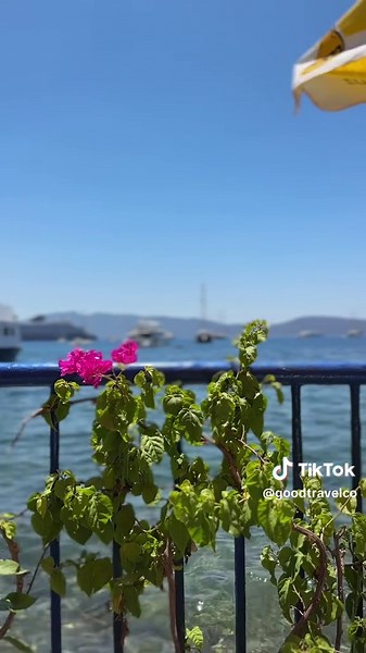 Bodrum: Barefoot Days and Beach Club Nights