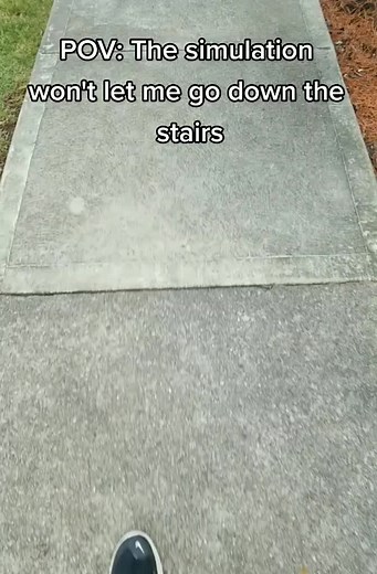 #The #simulation #won't #let #me #go #down #the #stairs