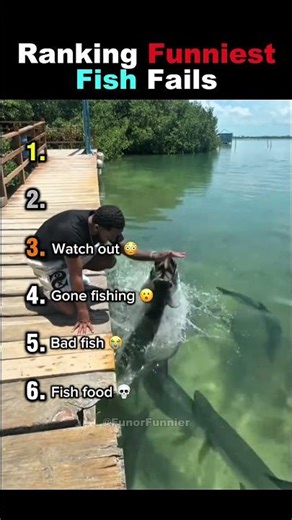 Ranking Funniest Fish Fails