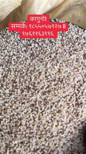 Laxmi Tel Mill ll Rice Mill (@laxmitelmill)’s videos with original sound - Sandesh Kumar Luitel