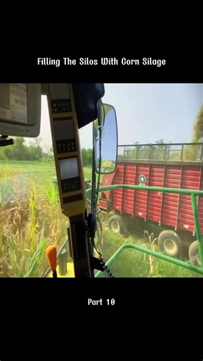 Filling The Silos With Corn Silage #taking #cattle #harvest #preparing #sparaying