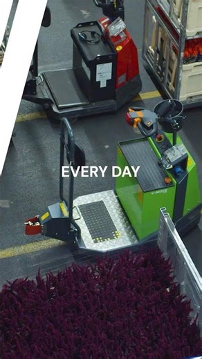 Spring has sprung... and that means peak season for flower logistics!