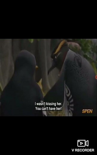 Surfs Up ( 2007 ) - Reggie Belafonte Defeat