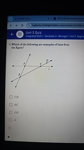 Which of the following are examples of lines from the figure?... | Filo