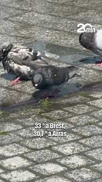 Temperature records broken in France