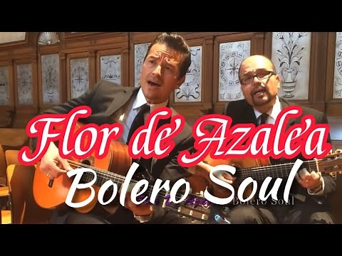 FLOR DE AZÁLEA con BOLERO SOUL #bolero #lospanchos #cover