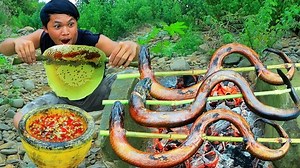 27-Finding bee in the forest accidentally met big eel - Cook eel and eat bee-Eating delicious | Nice Cook