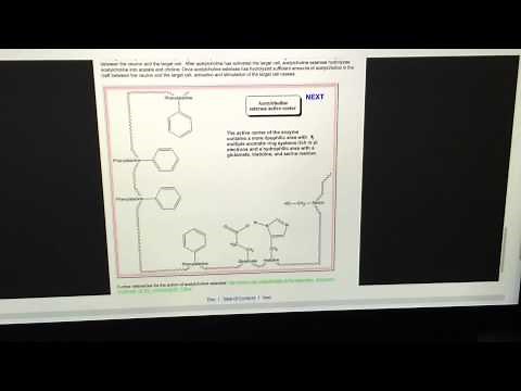 Basic function of the acetylcholinesterase enzyme.