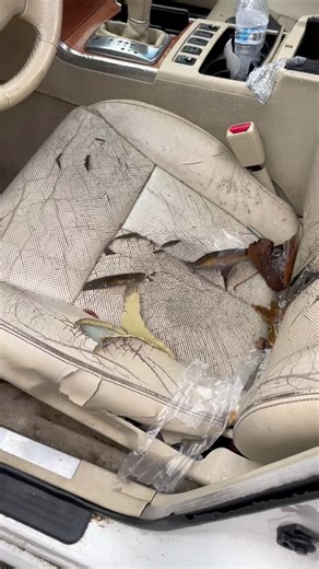 The Infiniti M35x is a luxury sedan that is known for its performance, handling, and comfort. | Auto Parts City, Inc.