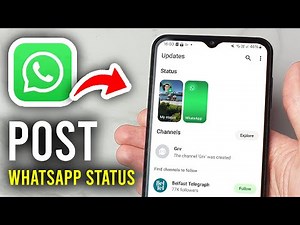 How To Post A Status On WhatsApp - Step By Step