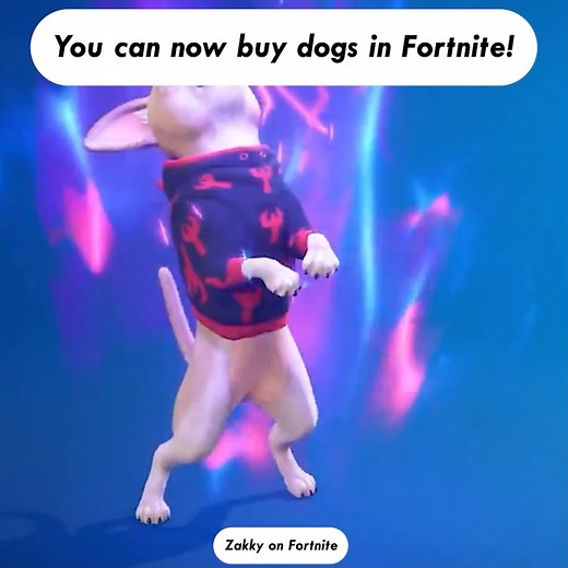 8.2K views · 56 reactions | You can now buy dogs in #Fortnite  | Fortnite Hub | Facebook
