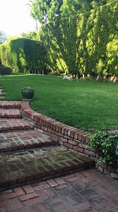 287K views · 1.6K reactions | Show your Valentine love by providing plenty of exercise! They will always love you back! | Relay Rescue The Movie | Facebook