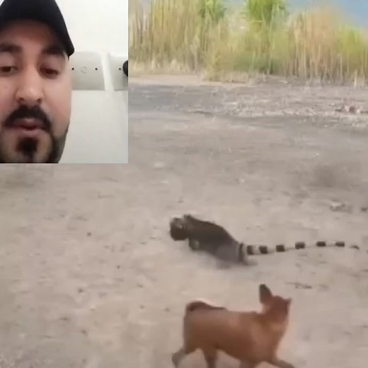 1.6K views · 2.4K reactions | Mostafa Mostafa Mostafa on Reels | Facebook