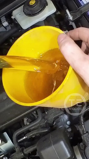 Honda CR-V CVT Service And Brake Flush #honda #crv #maintenance #brakeflush #transmission #cvt #pov #asmr #satisfying