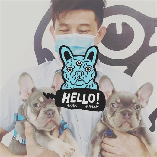 Hello Human on Reels