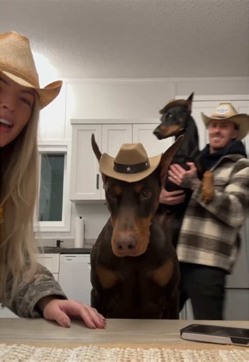 Funny Doberman Video with Great Beat Timing