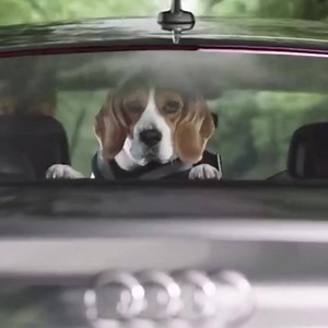 Audi South Africa on Reels