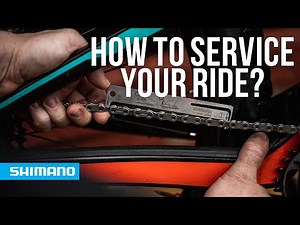 How to service your mountain bike on a regular basis | SHIMANO