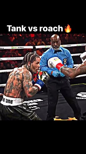 Tank vs roach #fypシ゚viralシfypシ゚viralシalシ #tankdavis #boxingnews #boxingday #fypシviralシ2024 #roach | Proze
