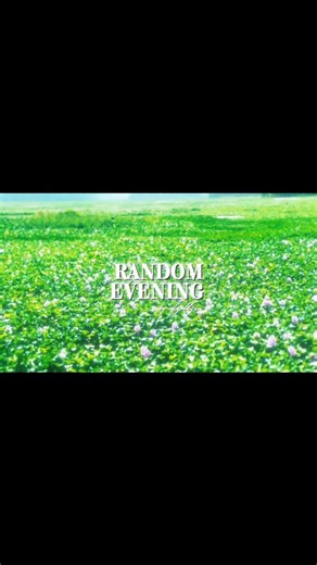 AX7 on Instagram: "Sometimes, the most 'random' evenings turn out to be the most beautiful. ✨ 📍 A hidden green paradise in Karunagappally. . . . . . 📍 The Location The location in your video is the Manappally Wetlands (Vattakkayal area), specifically the scenic fields and backwater stretches located right behind or adjacent to the Government Polytechnic College, Karunagappally (Manappally) . . . . . . .#kerala #godscountry #nature #aesthetic #travelgram"