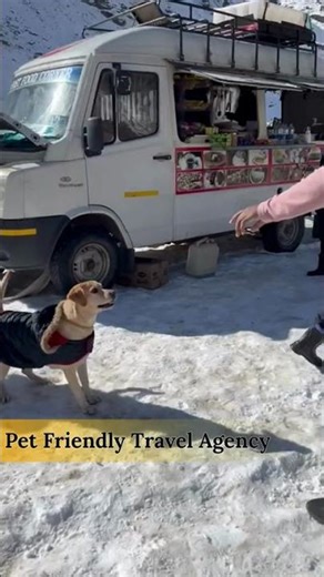 ✨ Experience the serene beauty of Manali ✨