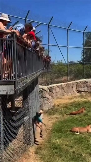 Sam Knight on Instagram: "The holiday season, paradoxically meant to bring families together, has become a peak period for social media addiction. While gathered around dinner tables or sitting in living rooms filled with relatives, millions of people find themselves instinctively reaching for their phones, seeking the quick dopamine hits that Instagram likes, TikTok videos, and Twitter feeds provide. The irony is stark: we’re physically present with the people we claim to miss most, yet mentall