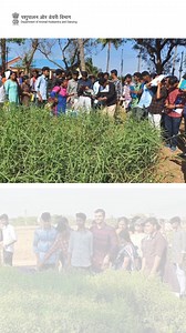 2.3K views · 22 reactions | The Chennai Regional Fodder Station organized a single-day training session and field trip for BVSc students from Madras Veterinary College in Chennai. #fodder #regionalfodderstation #animalhusbandry | Dept of Animal Husbandry and Dairying, Min of FAHD | Facebook
