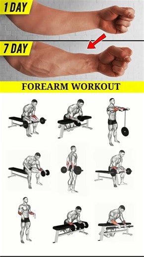 9 Forearm Exercises That Changed My Grip Strength FOREVER 🔥