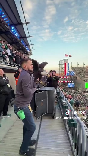 Every flight from everyone’s favorite pregame performer #eagles #nfl #baldeagle #flyover
