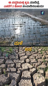 53K views · 539 reactions | What Are the Benefits of Vertical Farming? #shorts #VerticalFarming #farmingideas #framingtips | Boss Wallah Farming Kannada | Facebook