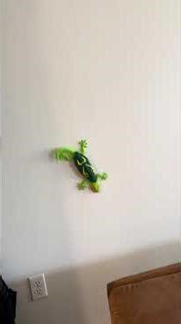 #RoboLizard climbing on my wall! WAIT 🤣 it spins too! 🦎 #MaxedOut