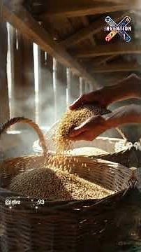 The First Granary 🌾 | How Humans Began Storing Food | Ep.18 #history #inventions