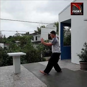 TAI CHI YANG STYLE 10 FORMS: CROSS HANDS/ EMBRACING TIGER/ PARTIAL CLOSE