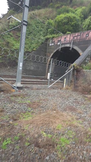 Still can't believe how cool this was. Reports in that the steam valve was open and the two massive engines at the back were pushing the train full of train enthusiasts. | Wellington - LIVE