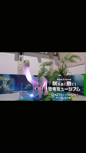 豊福海央（あいテレビアナウンサー） on Instagram: "🦕吠える！動く！恐竜ミュージアム 推しはバロサウルスです。 開催日程：2026年1月12日（月・祝）まで ※8日・9日は休園日 開催時間：9時30分～16時30分（入園は16時まで） 会 場：アイテムえひめ 大展示場（松山市大可賀2丁目1-28） 料 金：一般1,600円／3歳～高校生1,100円 詳しくは「あいテレビHP」 https://www.itv6.jp/event-acv/dinosaur_museum_ehime/"