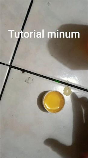 tutorial minum