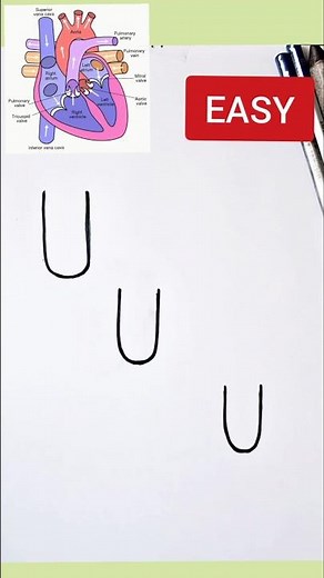 UUU turns into Human Heart Diagram class 10 CBSE #class10