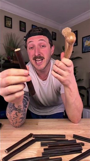 This was so crazy to learn about my dogs bones… #dog #dogs #mightypaw #dogbones #bone