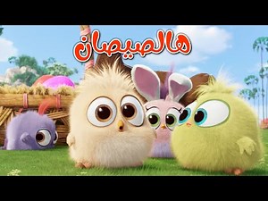 اغنية هالصيصان شو حلوين وذهب الليل | أجمل أغاني الأطفال