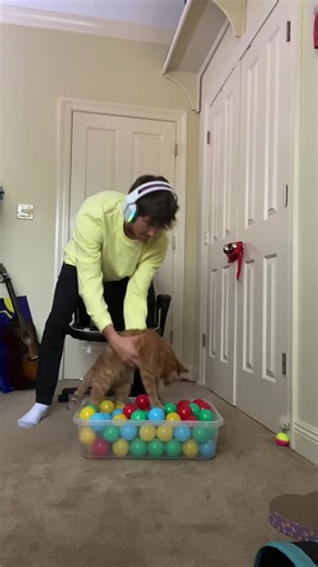 Creating a Fun Ball Pit for Your Cat