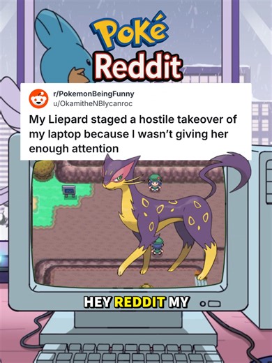 🐆💻 Liepard decided the laptop was hers and OP was simply borrowing it @okami_the_nb_werewolf #pokemon #pokémon #pokemontiktok #pokemoncommunity #pokemonfan
