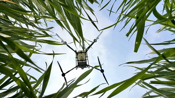 China's spring fields come alive with high-tech