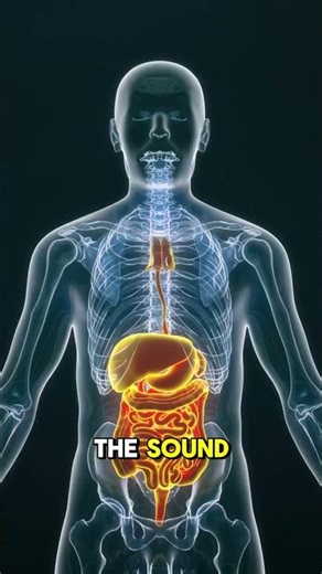 Why does the stomach growl when hungry? #facts #didyouknow #learnsomethingnew #randomfacts #fyp