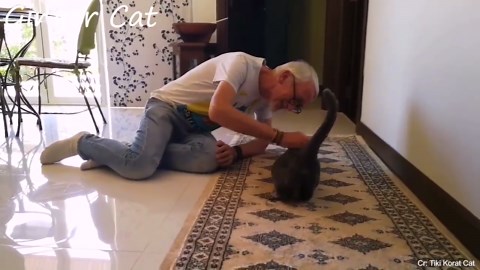 25 Most Heartwarming Animal Reunions with Owners