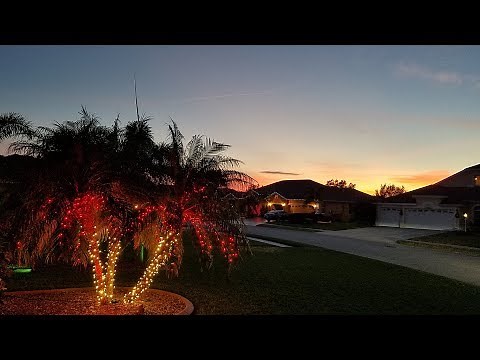 Christmas Lights on Robellini Palms + LED SpotLights
