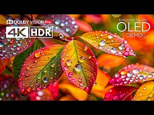 Explosive Colors💥Fantastic HDR 4K 120 FPS Dolby Vision - 4K Video