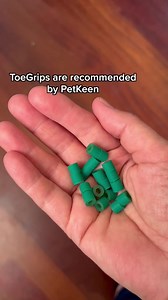 1.1K views · 12 reactions | 5 reasons to try ToeGrips with your senior dog! | Dr. Buzby's ToeGrips for Dogs | Facebook