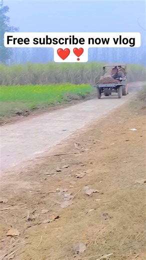 😭😥 #myfirstvlog #freesubscribers #funnyvlog #vlog #shortsfeed