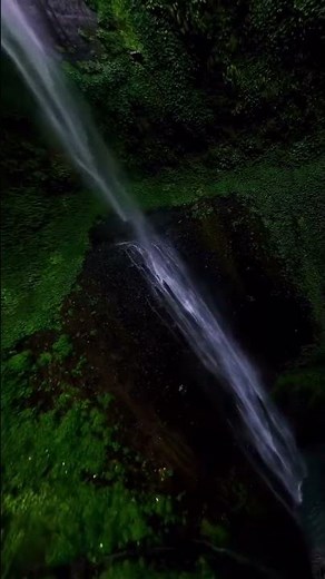 4K Nature 🌸 || 4K Video || Nature video #nature #viral
