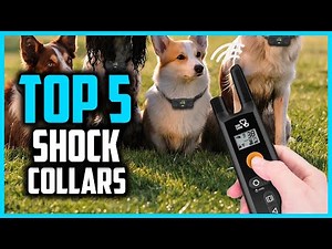 ✅ Top 5 Best Shock Collars 2026